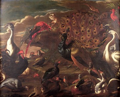 Les Oiseaux et les Bêtes - Jacob van der Kerckhoven